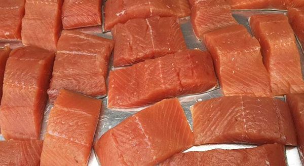 Salmon from 미국 supplied by Pacific Harvest Seafood Inc. - Sliced 연어
