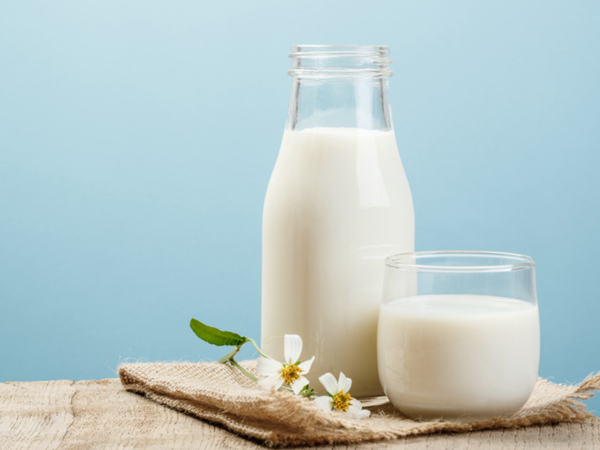 Cow Milk from 러시아 supplied by LLC Agrofirma Knyazhevo - Fresh 우유