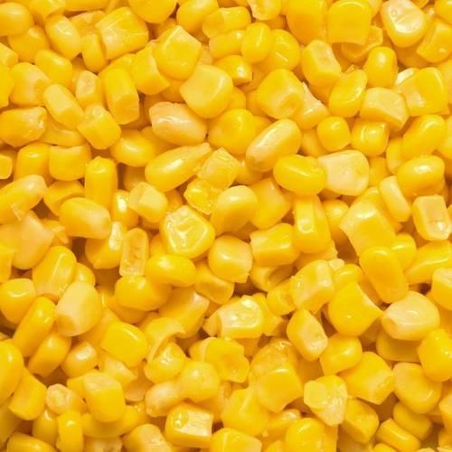 Frozen sweet corns from China supplied by HEBEI NEWCORN FOOD CO., LTD - Frozen Maize (Corn)