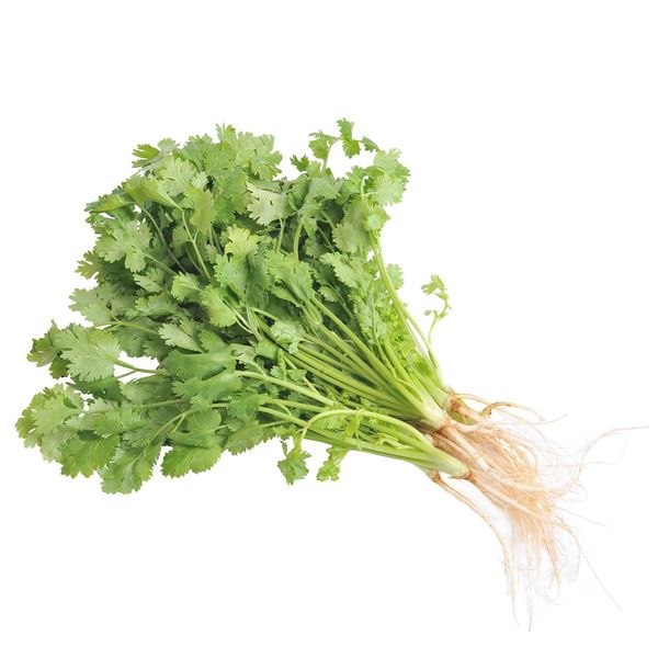Coriander from 태국 supplied by PWK ELITE PERFECTION GROUP CO.,LTD. - Green 고수
