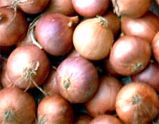 Onion from 미얀마 [버마] supplied by Chan Myae Yoma Company Limited - Fresh (=Chilled) 신선 양파