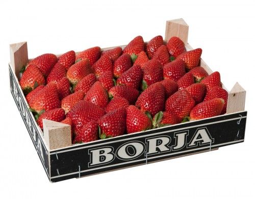 Fresh Strawberries from 스페인 supplied by Frutas Borja SL - 4kg Cardboard Box 신선 딸기