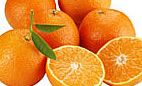 Fresh Mandarin from 튀르키예 supplied by Kara Citrus - Tangerine - Minneola (=Minneola Tangelo=Honeybell) 신선 만다린