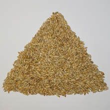 Barley from 그리스 supplied by Dimitriaki  SA - Kibbled 보리