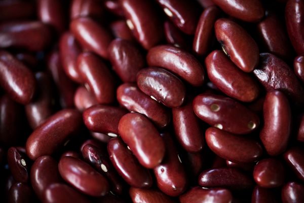 Red Kidney Beans from 에티오피아 supplied by Dadiben Trading PLC - 신선 말린 강낭콩