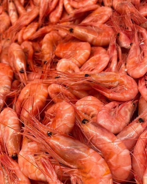 Shrimp from 노르웨이 supplied by FONN EGERSUND AS - Shell On (=Unpeeled) 신선 새우
