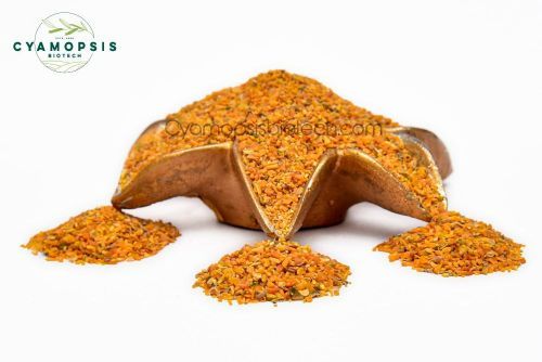 Roasted Guar Korma from 인도 supplied by Cyamopsis Biotech (India) Pvt. Ltd - For Feed 클러스터콩
