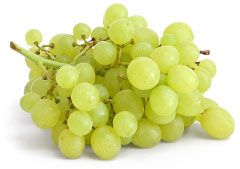 Grape Juice Concentrate from 아르헨티나 supplied by Kineta S.A. - Must 포도주스