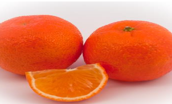 Clementines from Germany supplied by Frucht Hartmann GmbH - Fresh (=Chilled) Fresh Clementine