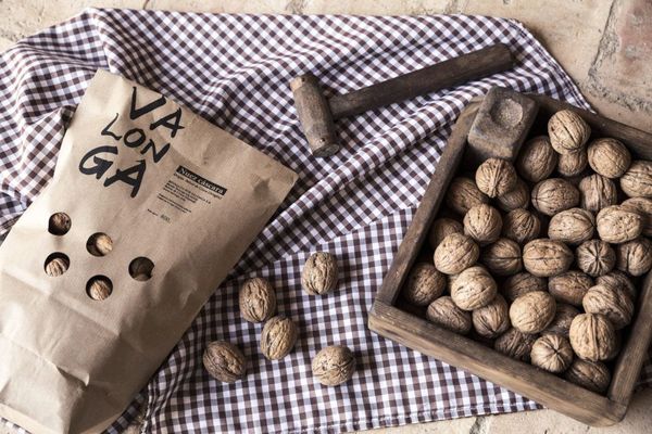 Dried Walnut from 스페인 supplied by Valonga - In-shell 생호두