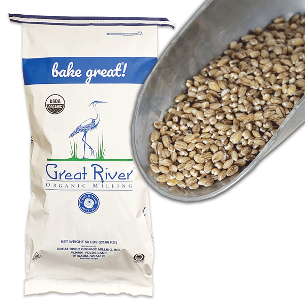 Organic Hulled Barley from 미국 supplied by Great River Organic Milling - Brown 보리