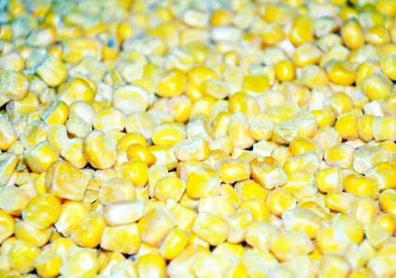 Frozen corn from 튀르키예 supplied by Namsal - Frozen 옥수수