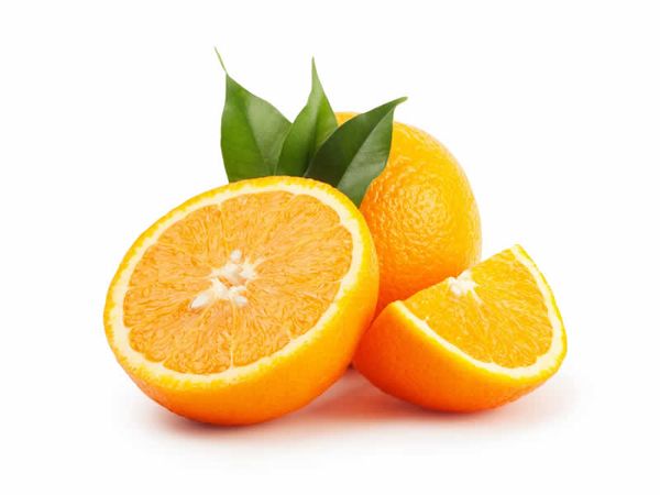 Orange from 튀르키예 supplied by Finba Agricultural Products - Navel - Washington Navel (=Bahia) 신선 오렌지