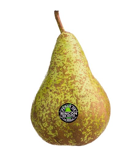Fresh Pear from Spain supplied by Frutas Micersa - Green Fresh Pear