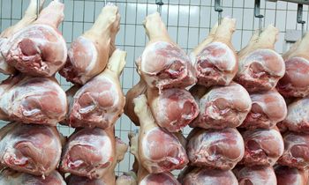Turkey Meat from 벨기에 supplied by Michiels Vleeswaren - Frozen 칠면조고기