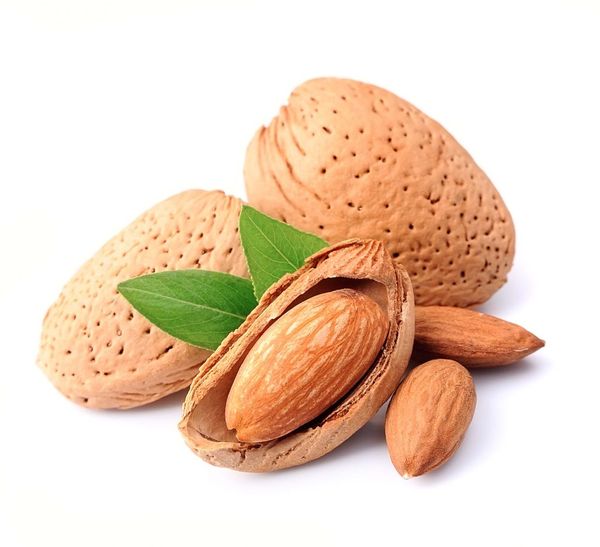 natural almond from 프랑스 supplied by Cap - Diced 아몬드 알맹이