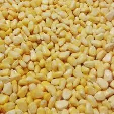 Sweet Corn from 포르투갈 supplied by Friguarda - Produtos Congelados, Lda - Sweet Corn (=Saccharata) 옥수수