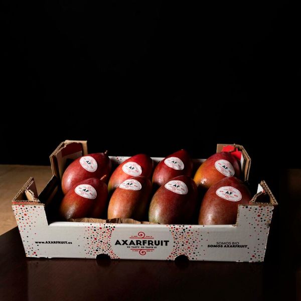 Fresh Mango from Spain supplied by Axarfruit - Osteen Fresh Mango