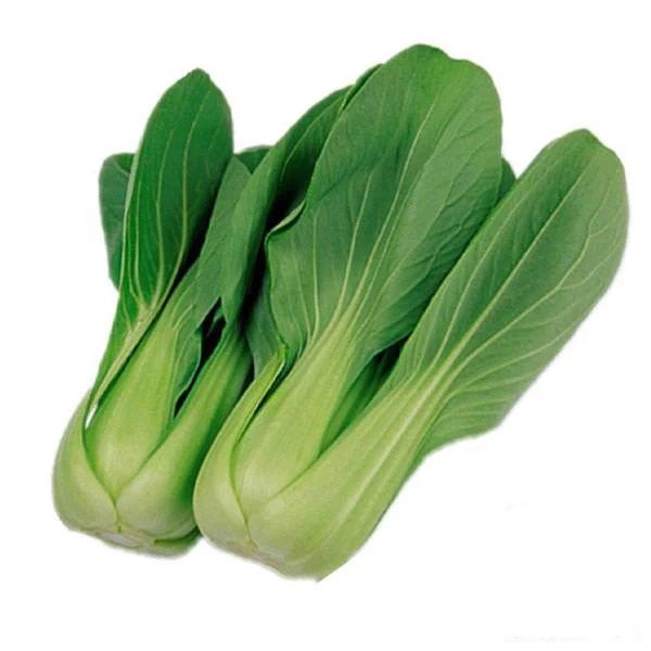 Kale from Vietnam supplied by Home Country Agricultural Products Co., Ltd. - For Food Kale