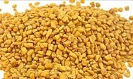 Fenugreek seeds from Pakistan supplied by Prime Intertrade - Unhulled Fenugreek Seed