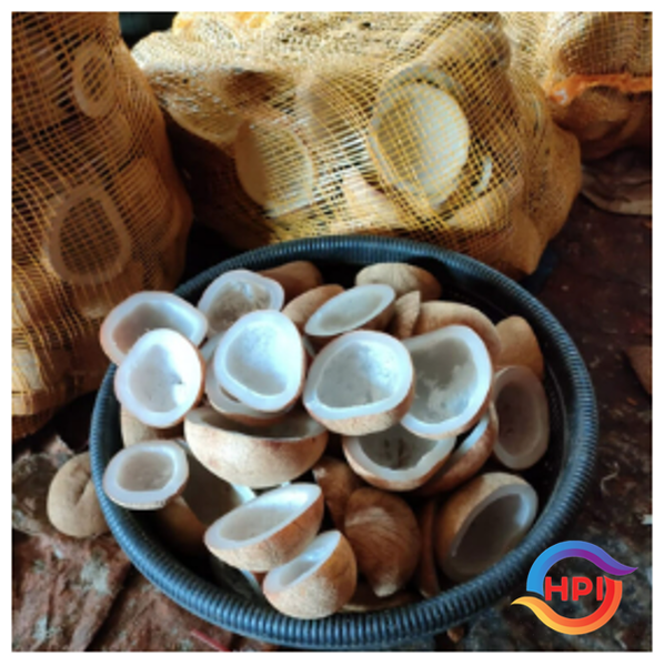 Edible Copra from 인도네시아 supplied by Haska Pakindo Internasional - White 기타 신선 코코넛