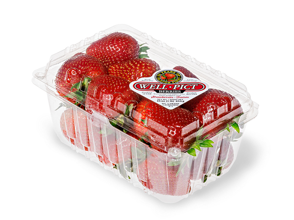 Strawberry from United States supplied by Well-Pict Berries - Carton Box (=Cardboard Box) Fresh Strawberry