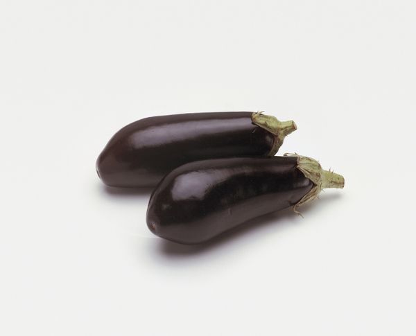 Aubergine from Netherlands supplied by Troost Jack - Purple (=Violet) Eggplant