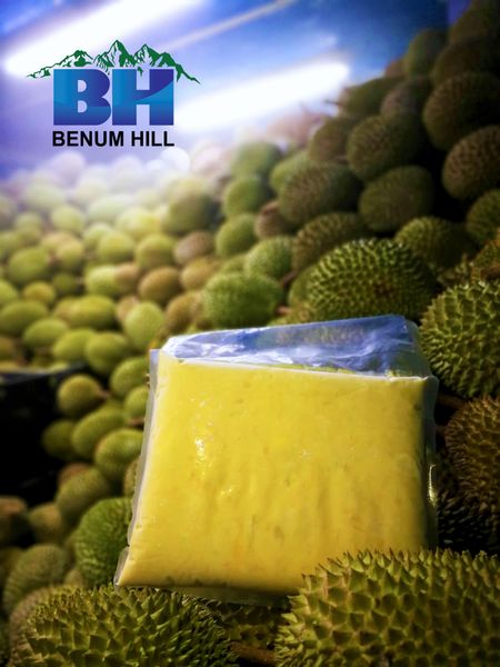 Frozen Durian Paste from 말레이시아 supplied by Benum Hill Fruits Sdn Bhd - 페이스트 신선 두리안