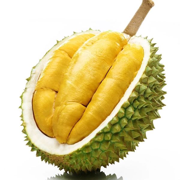 Durian from Vietnam supplied by Agri Circle Co., Ltd - BQF (=Block Quick Freezing) Frozen Durian