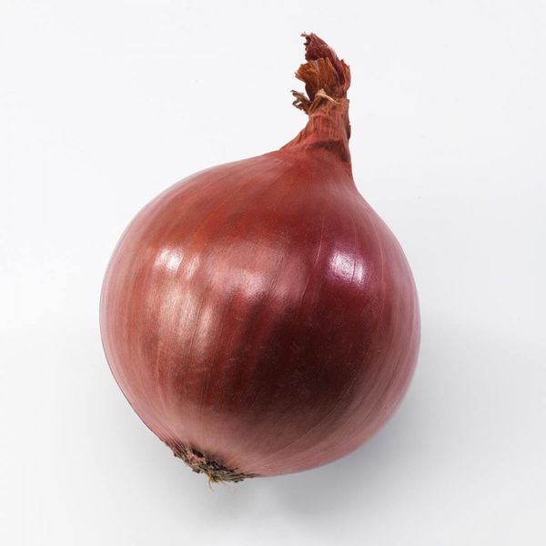 Red Onion from Netherlands supplied by Jonika - Whole Fresh Onion