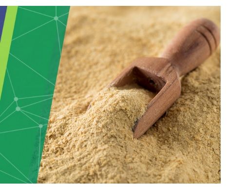Yeast from Brazil supplied by Central Energética Moreno Açúcar e Álcool Ltda. - Yeast