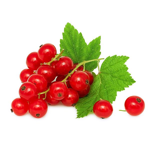 Red Currant from 우크라이나 supplied by GP Agro LLC - Red 커런트
