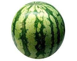 watermelon from 오만 supplied by Awad For Investment & Trading - Whole 신선 수박