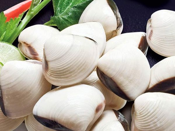 Clams (White & Brown) from 베트남 supplied by Bentre Seafood Joint Stock Company - Whole (=In Shell=Unshucked) 냉동 조개