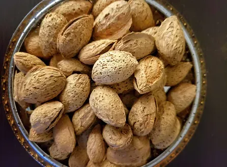 Inshell Almond from United States supplied by Sierra Valley Almonds, LLC - Whole Raw Almond