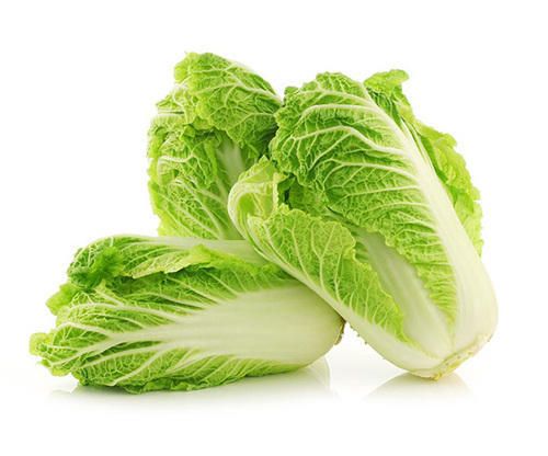 Chinese Cabbage from South Korea supplied by Good morning Korea - Chinese Cabbage Fresh Cabbage