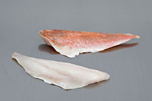 Redfish from 스페인 supplied by ICELAND SEAFOOD SL - With Skin (=Skin On) 냉동 레드피쉬