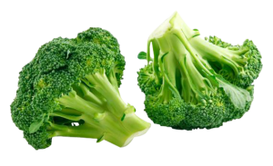 Broccoli from 이집트 supplied by ELSAADA Company - Green 신선 브로콜리 꽃