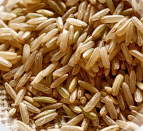 Brown Rice from 파라과이 supplied by DESARROLLOS DEL SUR S.A. - Whole 쌀