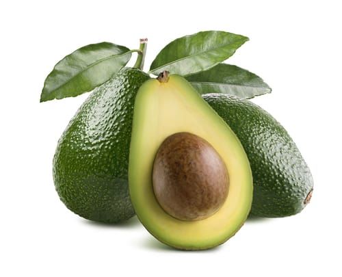 Avocado from 스페인 supplied by CIA Fru & Ver SL - Grainy skin 신선 아보카도