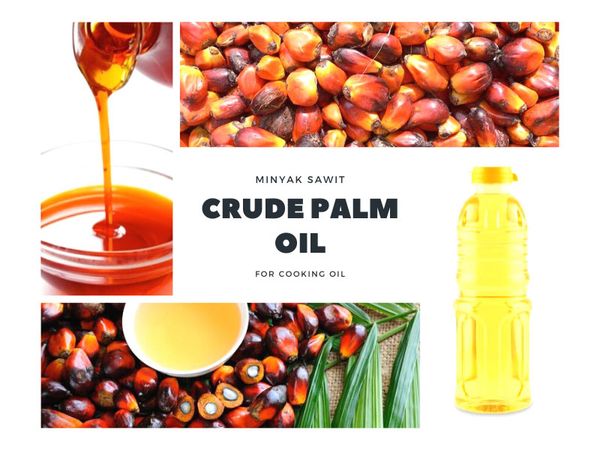 Crude Palm Oil from Indonesia supplied by PT. Intinusa Niaga Abadi - Pure RBD Palm Oil