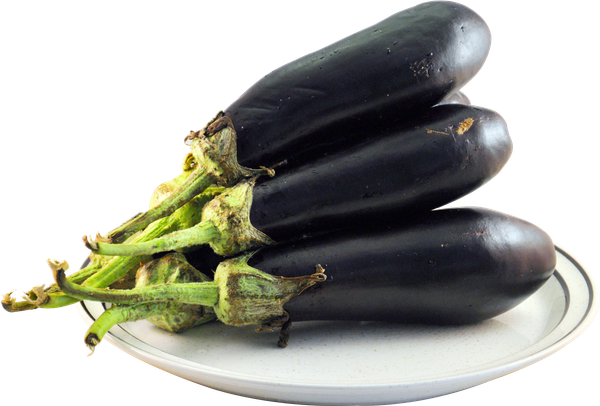 Eggplant from 나이지리아 supplied by Sweetgreen Farms Services Limited - Whole 가지