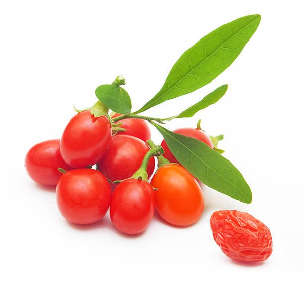 Fresh Goji Berry from 스위스 supplied by Waldenstein - Fresh (=Chilled) 신선 구기자