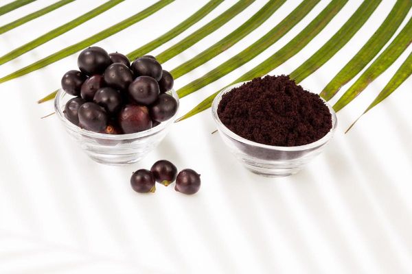 Dried Organic Açaí Powder from 미국 supplied by SELECT INGREDIENTS - Organic 아사이 가공품