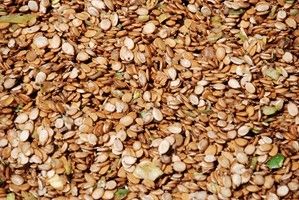 Watermelon Seed from 이스라엘 supplied by Nir Agricultural Works, Ltd. - Whole 수박 씨