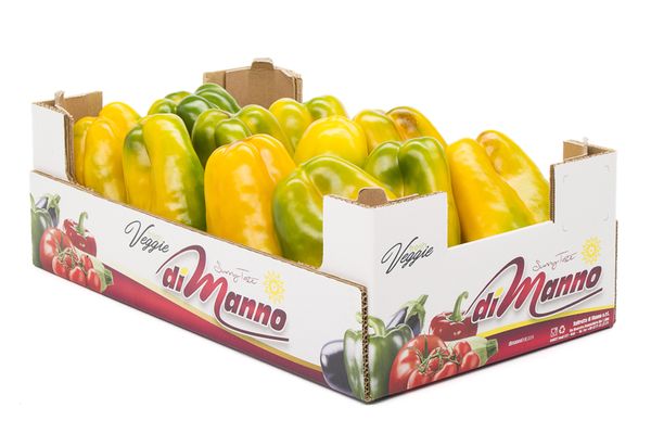 Yellow Pepper from 이탈리아 supplied by Di Manno - Yellow 신선 피망
