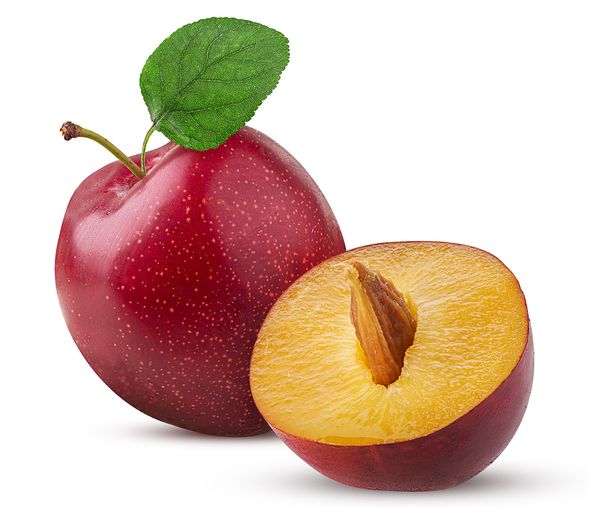 Plum from Greece supplied by Bella Frutta S.A. - Red Fresh Plum
