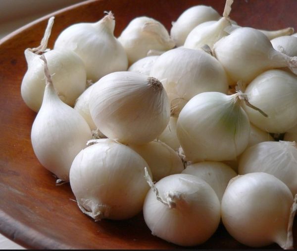 Fresh Pearl onions from United States supplied by THE GARLIC COMPANY - Fresh (=Chilled) Pearl Onion
