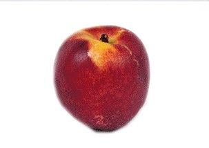 Nectarine from 스페인 supplied by Visa Fruits SA - Red Skin Color 신선 천도복숭아
