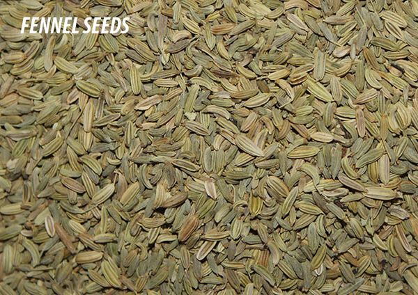 Fennel Seed from Egypt supplied by NABIL MORSI CO. - Seed Fennel Seed